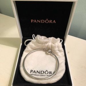 Pandora bracelet